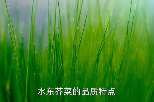 水东芥菜，生炒水东芥菜的做法生炒水东芥菜怎么做好吃