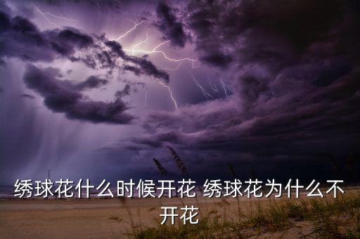 绣球花花期，木本绣球 什么时候开花