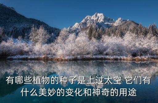有哪些植物的种子是上过太空 它们有什么美妙的变化和神奇的用途