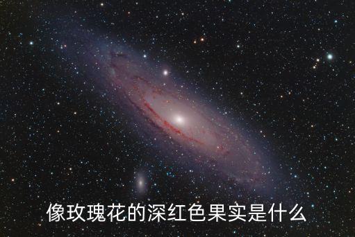 红色的果实，红色果实叫什么名
