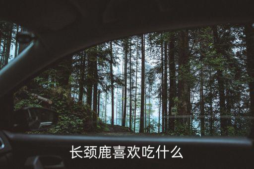 长颈鹿喜欢吃什么