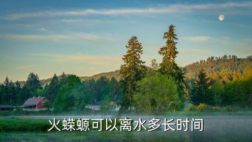 火蝾螈，请问这个是什么动物