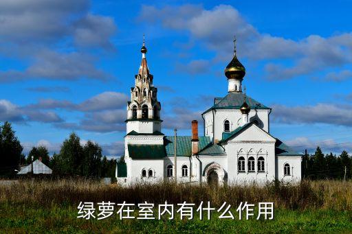 绿萝在室内有什么作用