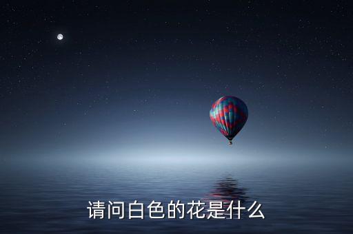 请问白色的花是什么