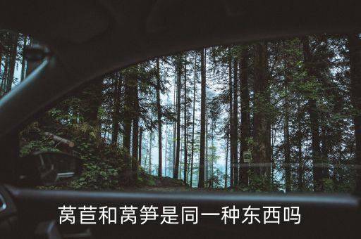 莴苣和莴笋是同一种东西吗