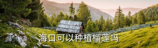 海口可以种植榴莲吗