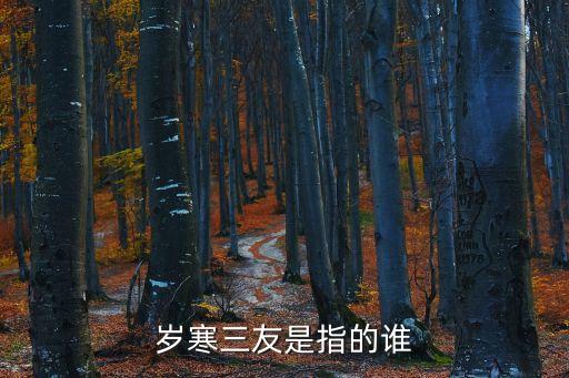 岁寒三友是指的谁