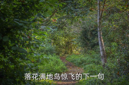 落花满地，落花满地该如何解释