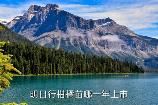 明日见柑橘，明日行柑橘苗哪一年上市