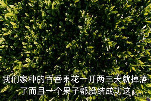 我们家种的百香果花一开两三天就掉落了而且一个果子都没结成功这