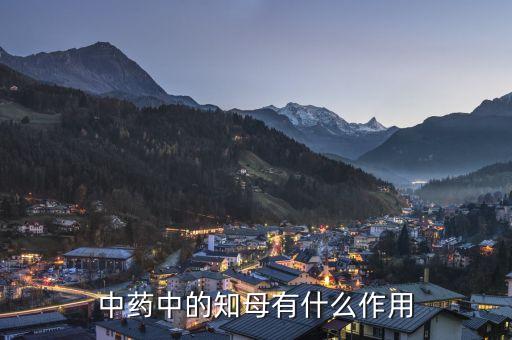 中药中的知母有什么作用