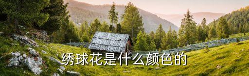 绣球花是什么颜色的