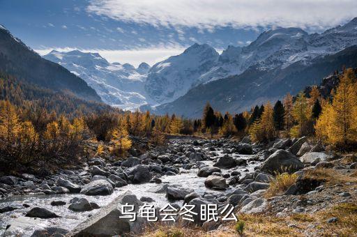 乌龟会冬眠吗，乌龟会冬眠么