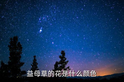 益母草的花是什么颜色