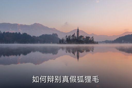 如何辩别真假狐狸毛