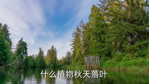 什么植物秋天落叶