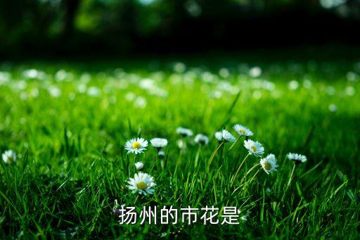 扬州的市花是