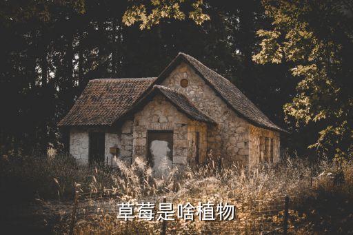 草莓是啥植物