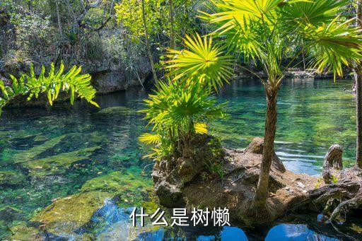 树濑，什么是树懒