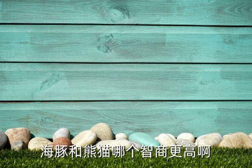 海豚和熊猫哪个智商更高啊