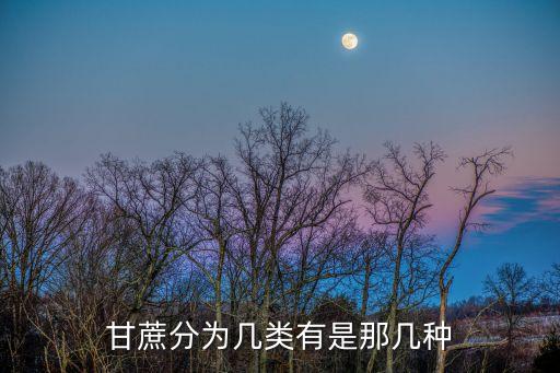糖蔗，甘蔗属于什么门的植物