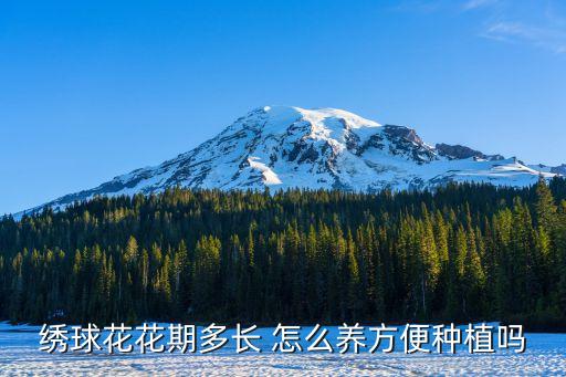 绣球花花期多长 怎么养方便种植吗
