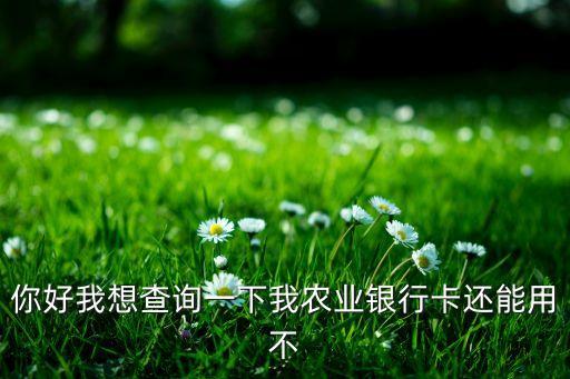 怎么查询农业卡片状态，你好我想查询一下我农业银行卡还能用不
