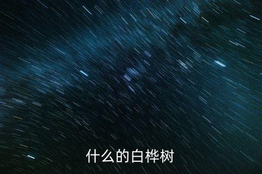 什么的白桦树