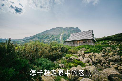 怎样赶走家中的老鼠
