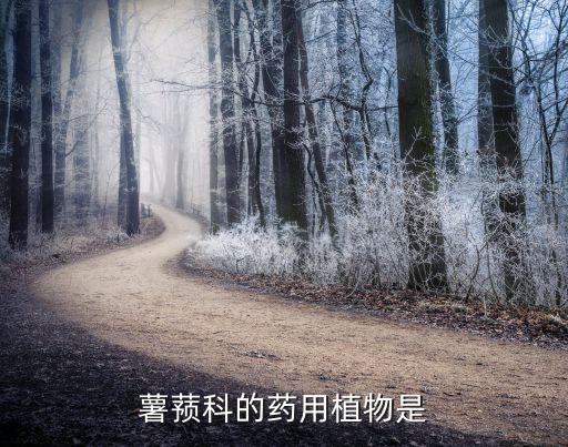 薯蓣科的药用植物是