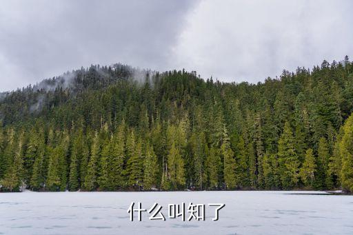 知了，什么叫知了
