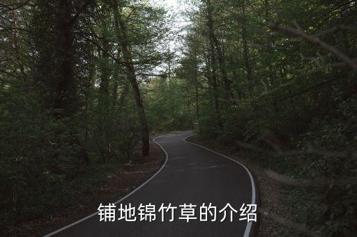 铺地锦竹草，请问下面这种植物是什么