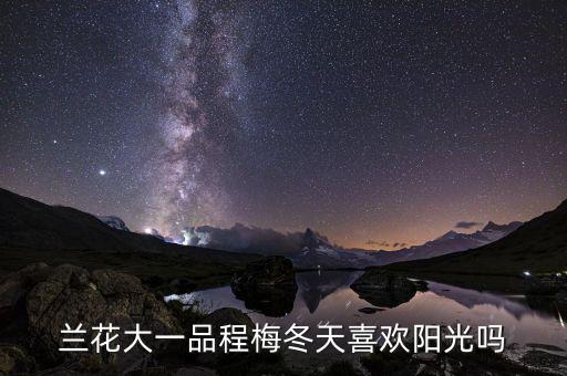 程梅，蕙兰的程梅花香吗
