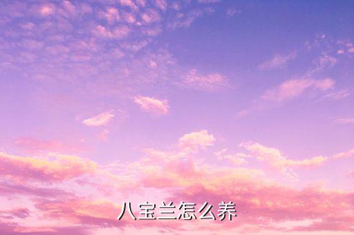 八宝兰怎么养