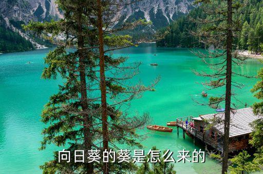 向日葵的葵是怎么来的