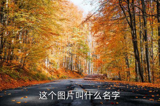 这个图片叫什么名字