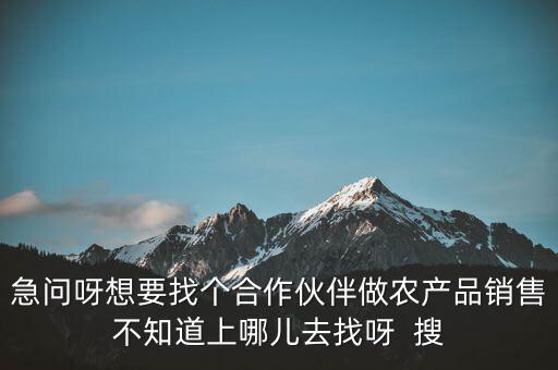 怎么找营业的农业应该，急问呀想要找个合作伙伴做农产品销售不知道上哪儿去找呀  搜
