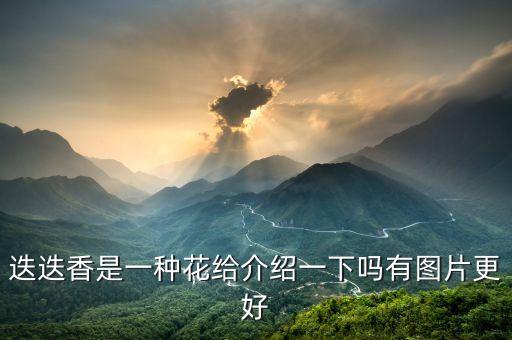 迷迭花，迷迭香长什么样