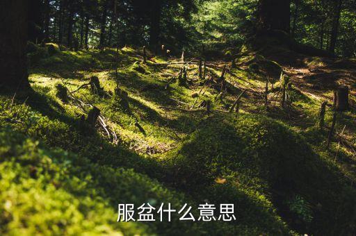 服盆，服盆什么意思