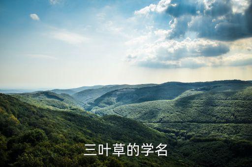三叶草的学名