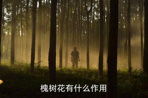 槐树花有什么作用