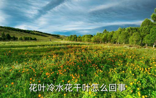 花叶冷水花，花叶冷水花的生长习性