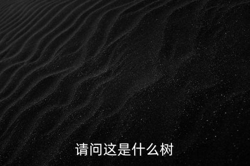 请问这是什么树