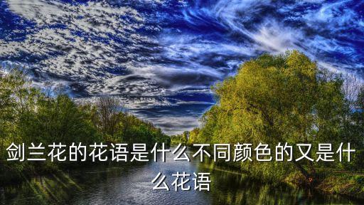 剑兰花图片，绞股蓝的种类和图片