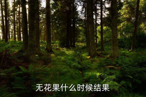 无花果几月份结果，无花果几月结果