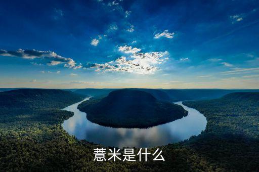薏苡，什么是薏米