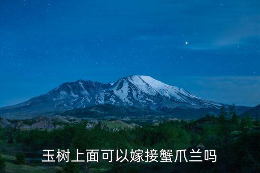 玉树上面可以嫁接蟹爪兰吗