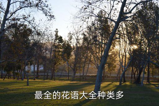 最全的花语大全种类多