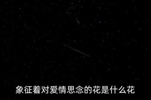 思念的花，什么花代表思念