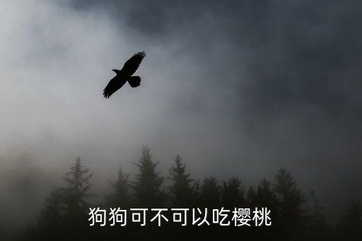 狗狗能吃樱桃吗，狗狗可不可以吃樱桃